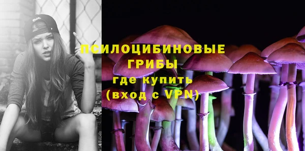 эйфоретик Надым