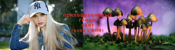 apvp Нея