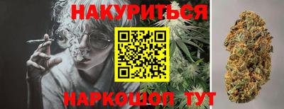 прущие грибы Дубна