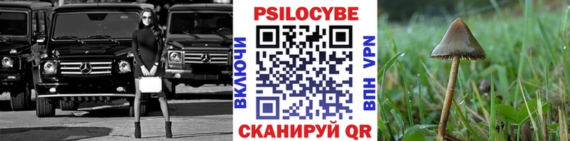 Псилоцибиновые грибы мухоморы  Кольчугино 