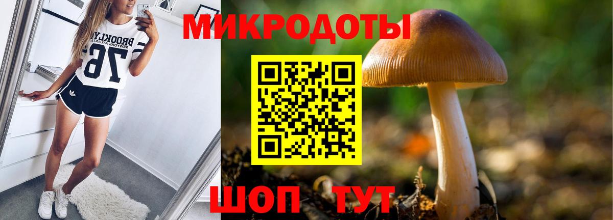 Псилоцибиновые грибы мицелий  Вход с VPN  Кольчугино 